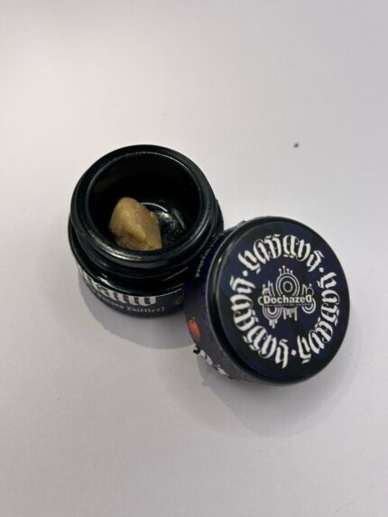 Hassans x Dochazed Fruitland