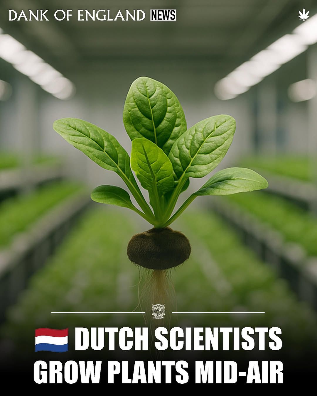 Dutch Scientist