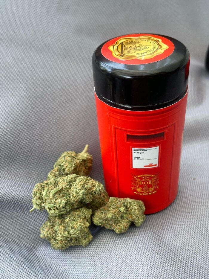 The Britz V2 The Britz V2