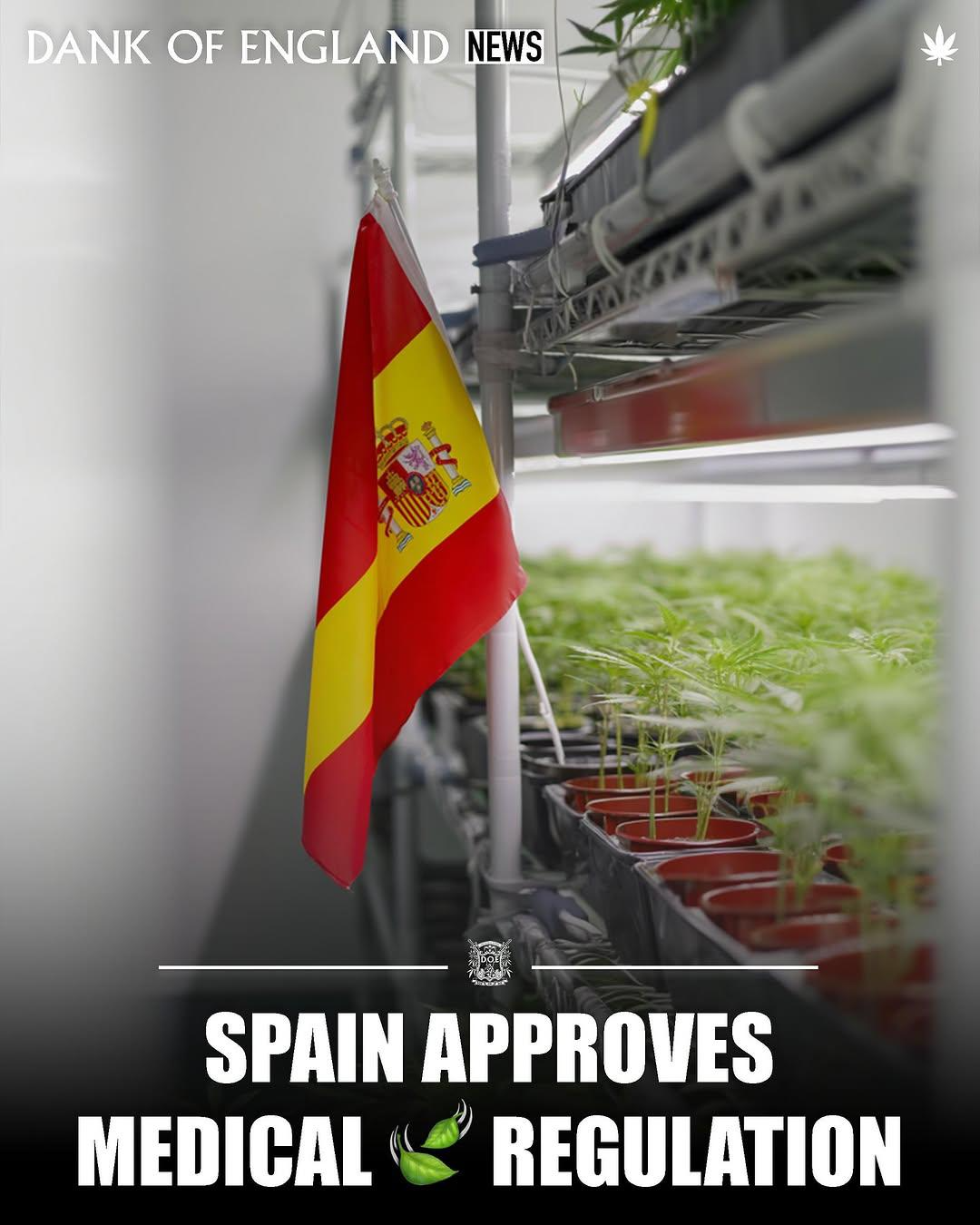 Spain approves medical cannabis regulation