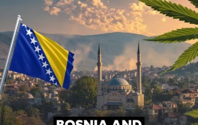 Bosnia & Herzegovina Approves Medical Flower