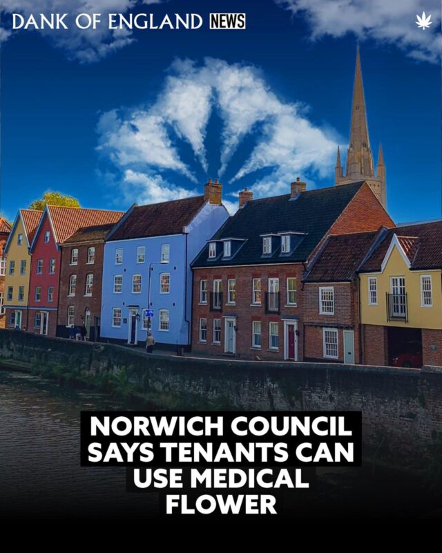 Norwich Council Confirms Medical Cannabis
